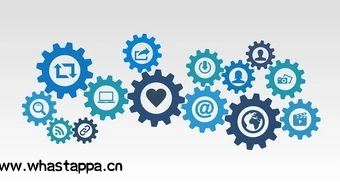 WhatsApp小技巧，让你成为聊天高手-WhatsApp