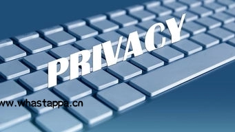 WhatsApp数据加密，保障你的私密信息，whatsapp加密信息怎么查看 - WhatsApp官网-WhatsApp官网