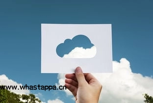 WhatsApp新版本功能全盘点，whatsapp update 2021 - WhatsApp官网-WhatsApp官网