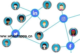 WhatsApp状态更新，让朋友更了解你，whatsapp更新后需要重新登录吗-WhatsApp