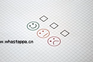 WhatsApp网页版也能这么强？，whatsappweb网页版软件-WhatsApp