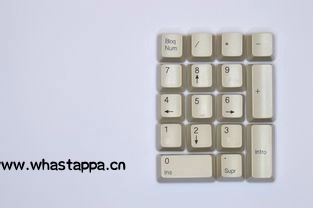 WhatsApp视频通话的秘密武器,whatsapp可以视频会议吗-WhatsApp