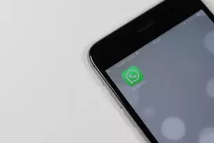 WhatsApp转账功能上线，你用过没？，whatsapp如何转账-WhatsApp