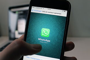 WhatsApp怎么用邮箱注册 - WhatsApp官网-WhatsApp官网